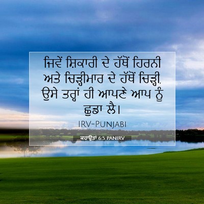 Picture 07 - ਕਹਾਉਤਾਂ 6:5 PANIRV - ਜਿਵੇਂ ਸ਼ਿਕਾਰੀ ਦੇ - Bible Verse Picture