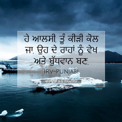 Picture 07 - ਕਹਾਉਤਾਂ 6:6 PANIRV - ਹੇ ਆਲਸੀ, ਤੂੰ ਕੀੜੀ - Bible Verse Picture