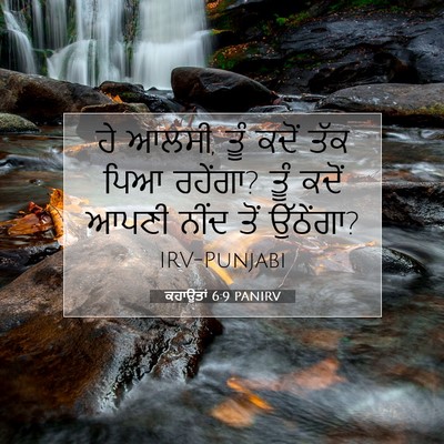 Picture 07 - ਕਹਾਉਤਾਂ 6:9 PANIRV - ਹੇ ਆਲਸੀ, ਤੂੰ ਕਦੋਂ - Bible Verse Picture