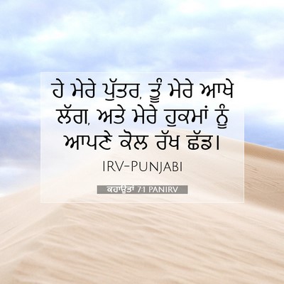 Picture 07 - ਕਹਾਉਤਾਂ 7:1 PANIRV - ਹੇ ਮੇਰੇ ਪੁੱਤਰ, ਤੂੰ - Bible Verse Picture