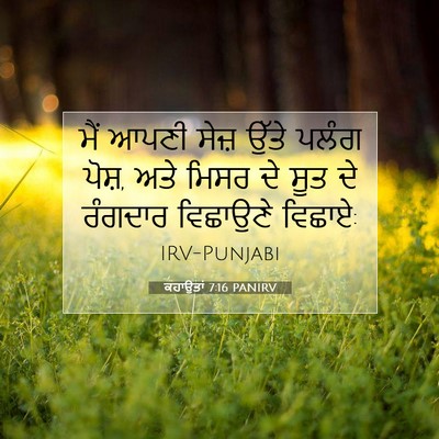 Picture 07 - ਕਹਾਉਤਾਂ 7:16 PANIRV - ਮੈਂ ਆਪਣੀ ਸੇਜ਼ ਉੱਤੇ - Bible Verse Picture
