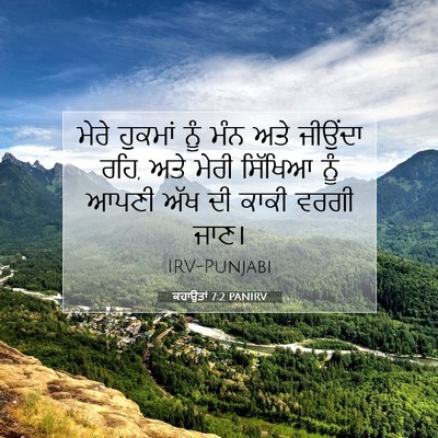 Picture 07 - ਕਹਾਉਤਾਂ 7:2 PANIRV - ਮੇਰੇ ਹੁਕਮਾਂ ਨੂੰ - Bible Verse Picture