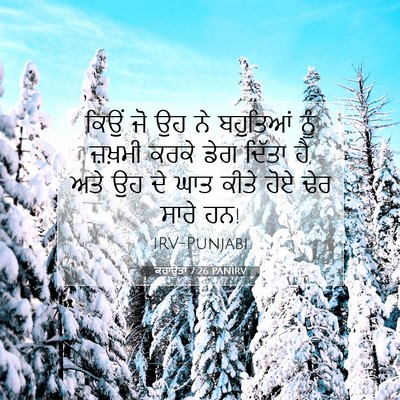 Picture 07 - ਕਹਾਉਤਾਂ 7:26 PANIRV - ਕਿਉਂ ਜੋ ਉਹ ਨੇ - Bible Verse Picture