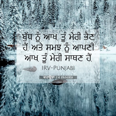 Picture 07 - ਕਹਾਉਤਾਂ 7:4 PANIRV - ਬੁੱਧ ਨੂੰ ਆਖ, ਤੂੰ - Bible Verse Picture