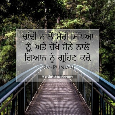 Picture 07 - ਕਹਾਉਤਾਂ 8:10 PANIRV - ਚਾਂਦੀ ਨਾਲੋਂ ਮੇਰੀ - Bible Verse Picture