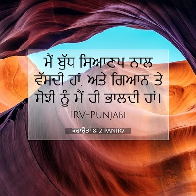 Picture 07 - ਕਹਾਉਤਾਂ 8:12 PANIRV - ਮੈਂ ਬੁੱਧ ਸਿਆਣਪ ਨਾਲ - Bible Verse Picture