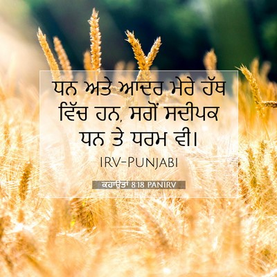 Picture 07 - ਕਹਾਉਤਾਂ 8:18 PANIRV - ਧਨ ਅਤੇ ਆਦਰ ਮੇਰੇ ਹੱਥ - Bible Verse Picture