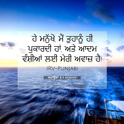Picture 07 - ਕਹਾਉਤਾਂ 8:4 PANIRV - ਹੇ ਮਨੁੱਖੋ, ਮੈਂ - Bible Verse Picture