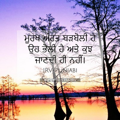 Picture 07 - ਕਹਾਉਤਾਂ 9:13 PANIRV - ਮੂਰਖ ਔਰਤ ਬੜਬੋਲੀ ਹੈ, - Bible Verse Picture