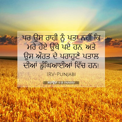 Picture 07 - ਕਹਾਉਤਾਂ 9:18 PANIRV - ਪਰ ਉਸ ਰਾਹੀ ਨੂੰ ਪਤਾ - Bible Verse Picture
