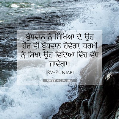 Picture 07 - ਕਹਾਉਤਾਂ 9:9 PANIRV - ਬੁੱਧਵਾਨ ਨੂੰ - Bible Verse Picture
