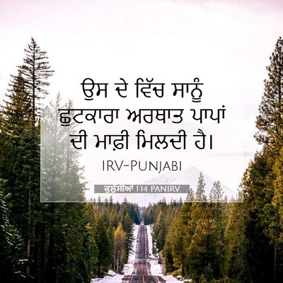 Picture 07 - ਕੁਲੁੱਸੀਆਂ 1:14 PANIRV - ਉਸ ਦੇ ਵਿੱਚ ਸਾਨੂੰ - Bible Verse Picture