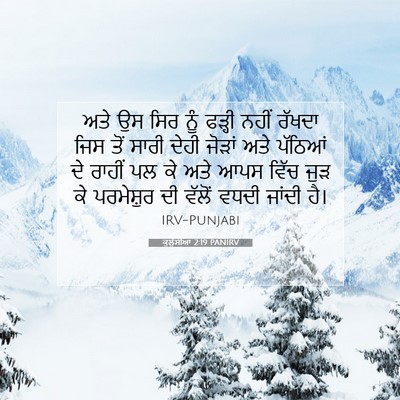 Picture 07 - ਕੁਲੁੱਸੀਆਂ 2:19 PANIRV - ਅਤੇ ਉਸ ਸਿਰ ਨੂੰ - Bible Verse Picture