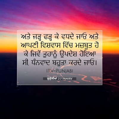 Picture 07 - ਕੁਲੁੱਸੀਆਂ 2:7 PANIRV - ਅਤੇ ਜੜ੍ਹ ਫੜ੍ਹ ਕੇ - Bible Verse Picture