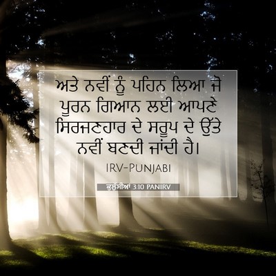 Picture 07 - ਕੁਲੁੱਸੀਆਂ 3:10 PANIRV - ਅਤੇ ਨਵੀਂ ਨੂੰ ਪਹਿਨ - Bible Verse Picture