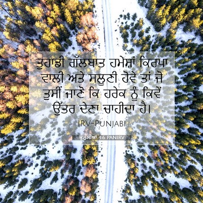 Picture 07 - ਕੁਲੁੱਸੀਆਂ 4:6 PANIRV - ਤੁਹਾਡੀ ਗੱਲਬਾਤ - Bible Verse Picture