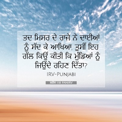 Picture 07 - ਖ਼ਰੋਜ 1:18 PANIRV - ਤਦ ਮਿਸਰ ਦੇ ਰਾਜੇ ਨੇ - Bible Verse Picture