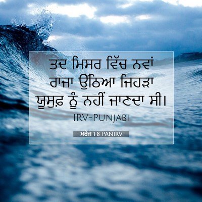 Picture 07 - ਖ਼ਰੋਜ 1:8 PANIRV - ਤਦ ਮਿਸਰ ਵਿੱਚ ਨਵਾਂ - Bible Verse Picture