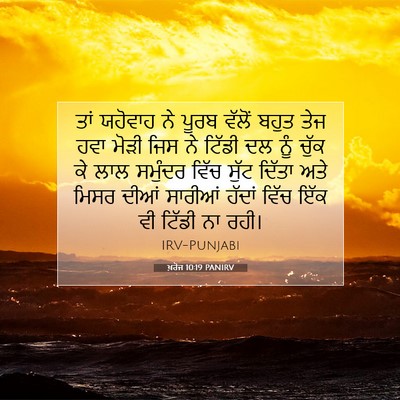 Picture 07 - ਖ਼ਰੋਜ 10:19 PANIRV - ਤਾਂ ਯਹੋਵਾਹ ਨੇ ਪੂਰਬ - Bible Verse Picture