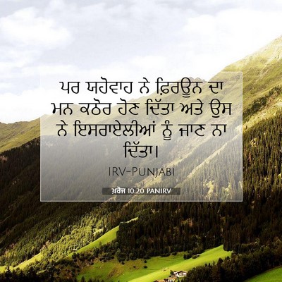 Picture 07 - ਖ਼ਰੋਜ 10:20 PANIRV - ਪਰ ਯਹੋਵਾਹ ਨੇ - Bible Verse Picture