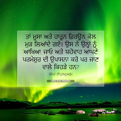 Picture 07 - ਖ਼ਰੋਜ 10:8 PANIRV - ਤਾਂ ਮੂਸਾ ਅਤੇ ਹਾਰੂਨ - Bible Verse Picture