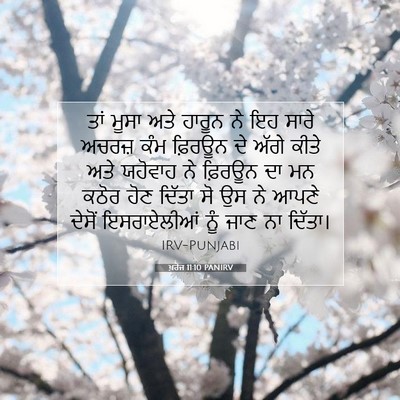 Picture 07 - ਖ਼ਰੋਜ 11:10 PANIRV - ਤਾਂ ਮੂਸਾ ਅਤੇ ਹਾਰੂਨ - Bible Verse Picture