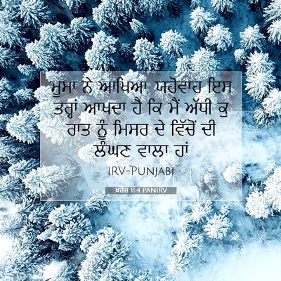 Picture 07 - ਖ਼ਰੋਜ 11:4 PANIRV - ਮੂਸਾ ਨੇ ਆਖਿਆ, - Bible Verse Picture