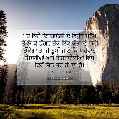 Picture 07 - ਖ਼ਰੋਜ 11:7 PANIRV - ਪਰ ਕਿਸੇ ਇਸਰਾਏਲੀ ਦੇ - Bible Verse Picture