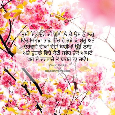 Picture 07 - ਖ਼ਰੋਜ 12:22 PANIRV - ਤੁਸੀਂ ਇੱਕ ਜੂਫ਼ੇ ਦੀ - Bible Verse Picture