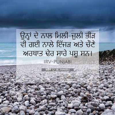 Picture 07 - ਖ਼ਰੋਜ 12:38 PANIRV - ਉਨ੍ਹਾਂ ਦੇ ਨਾਲ - Bible Verse Picture