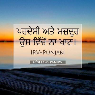 Picture 07 - ਖ਼ਰੋਜ 12:45 PANIRV - ਪਰਦੇਸੀ ਅਤੇ ਮਜ਼ਦੂਰ - Bible Verse Picture