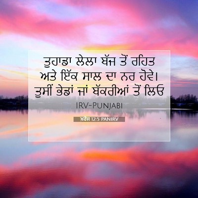 Picture 07 - ਖ਼ਰੋਜ 12:5 PANIRV - ਤੁਹਾਡਾ ਲੇਲਾ ਬੱਜ - Bible Verse Picture