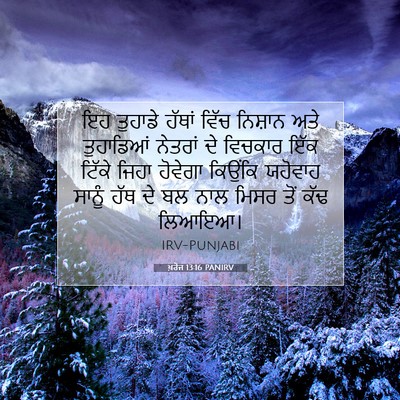 Picture 07 - ਖ਼ਰੋਜ 13:16 PANIRV - ਇਹ ਤੁਹਾਡੇ ਹੱਥਾਂ - Bible Verse Picture