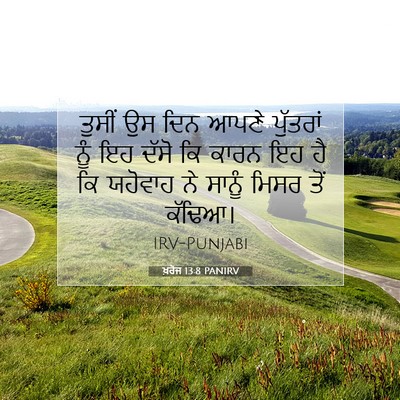 Picture 07 - ਖ਼ਰੋਜ 13:8 PANIRV - ਤੁਸੀਂ ਉਸ ਦਿਨ ਆਪਣੇ - Bible Verse Picture