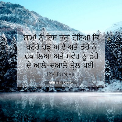 Picture 07 - ਖ਼ਰੋਜ 16:13 PANIRV - ਸ਼ਾਮਾਂ ਨੂੰ ਇਸ - Bible Verse Picture
