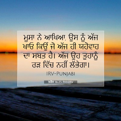 Picture 07 - ਖ਼ਰੋਜ 16:25 PANIRV - ਮੂਸਾ ਨੇ ਆਖਿਆ, ਉਸ - Bible Verse Picture