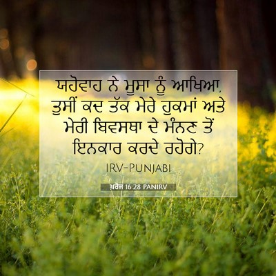 Picture 07 - ਖ਼ਰੋਜ 16:28 PANIRV - ਯਹੋਵਾਹ ਨੇ ਮੂਸਾ ਨੂੰ - Bible Verse Picture
