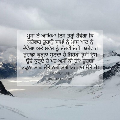 Picture 07 - ਖ਼ਰੋਜ 16:8 PANIRV - ਮੂਸਾ ਨੇ ਆਖਿਆ, ਇਸ - Bible Verse Picture