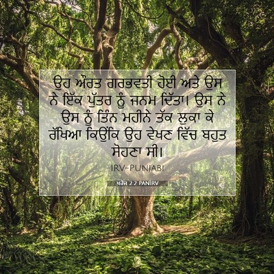 Picture 07 - ਖ਼ਰੋਜ 2:2 PANIRV - ਉਹ ਔਰਤ ਗਰਭਵਤੀ ਹੋਈ - Bible Verse Picture