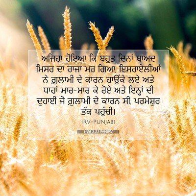 Picture 07 - ਖ਼ਰੋਜ 2:23 PANIRV - ਅਜਿਹਾ ਹੋਇਆ ਕਿ ਬਹੁਤ - Bible Verse Picture
