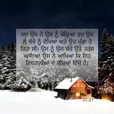Picture 07 - ਖ਼ਰੋਜ 2:6 PANIRV - ਜਦ ਉਸ ਨੇ ਉਸ ਨੂੰ - Bible Verse Picture