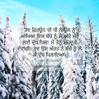 Picture 07 - ਖ਼ਰੋਜ 2:9 PANIRV - ਤਦ ਫ਼ਿਰਊਨ ਦੀ ਧੀ ਨੇ - Bible Verse Picture