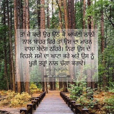 Picture 07 - ਖ਼ਰੋਜ 21:19 PANIRV - ਤਾਂ ਜੇ ਕਦੀ ਉਹ ਉੱਠ - Bible Verse Picture