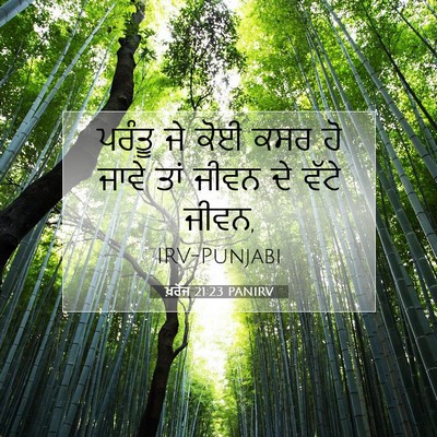 Picture 07 - ਖ਼ਰੋਜ 21:23 PANIRV - ਪਰੰਤੂ ਜੇ ਕੋਈ ਕਸਰ ਹੋ - Bible Verse Picture