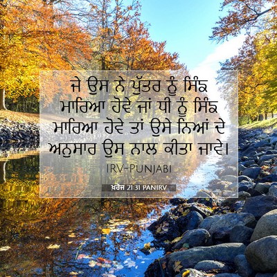 Picture 07 - ਖ਼ਰੋਜ 21:31 PANIRV - ਜੇ ਉਸ ਨੇ ਪੁੱਤਰ ਨੂੰ - Bible Verse Picture