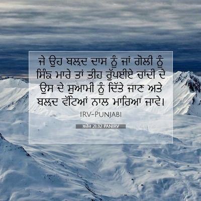 Picture 07 - ਖ਼ਰੋਜ 21:32 PANIRV - ਜੇ ਉਹ ਬਲ਼ਦ ਦਾਸ ਨੂੰ - Bible Verse Picture