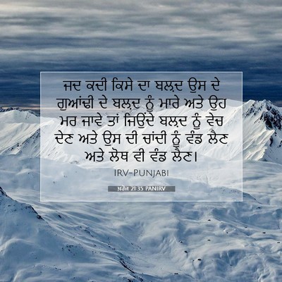 Picture 07 - ਖ਼ਰੋਜ 21:35 PANIRV - ਜਦ ਕਦੀ ਕਿਸੇ ਦਾ ਬਲ਼ਦ - Bible Verse Picture