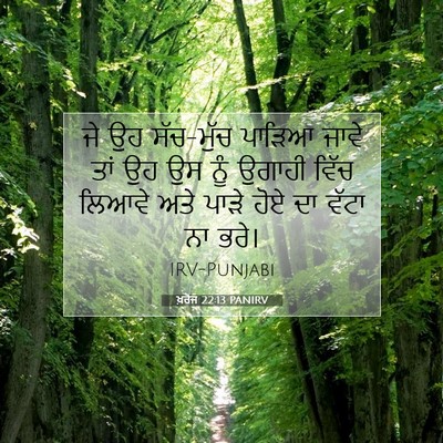 Picture 07 - ਖ਼ਰੋਜ 22:13 PANIRV - ਜੇ ਉਹ ਸੱਚ-ਮੁੱਚ - Bible Verse Picture