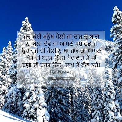 Picture 07 - ਖ਼ਰੋਜ 22:5 PANIRV - ਜਦ ਕੋਈ ਮਨੁੱਖ ਪੈਲੀ - Bible Verse Picture