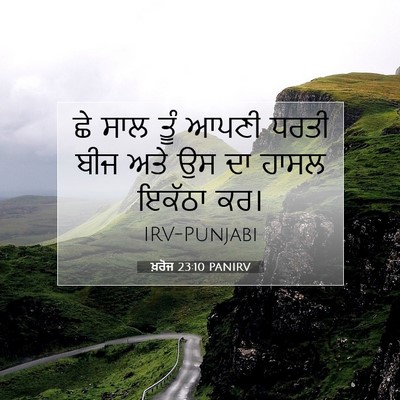 Picture 07 - ਖ਼ਰੋਜ 23:10 PANIRV - ਛੇ ਸਾਲ ਤੂੰ ਆਪਣੀ - Bible Verse Picture